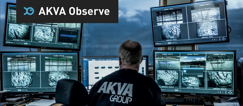 AI Seed Proves Sustainability Pays: 8x Return as AKVA Buys Observe Technologies for $30M